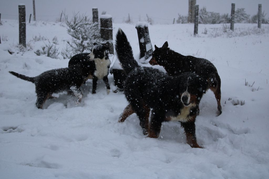 Sous la neige Février 2025